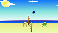 Frosch Volleyball 2
